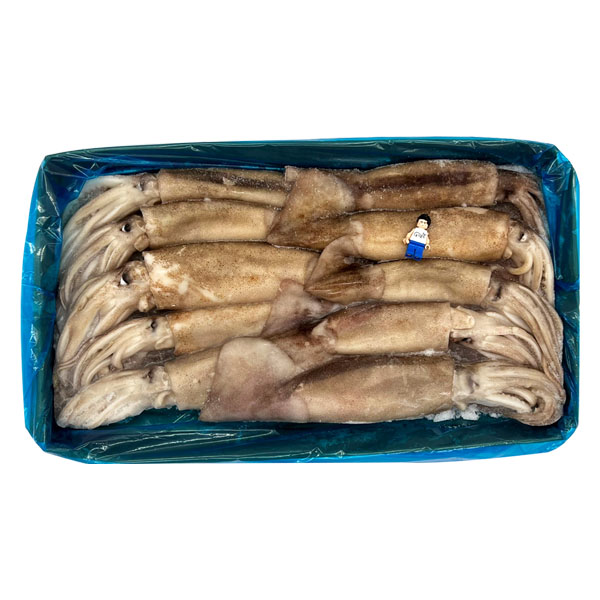 육동 오징어 3KG