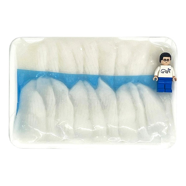 초갑오징어(베트남) 10G