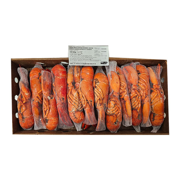 산호 자숙바다가재 랍스터 4.54KG (350-400g/10~11미)